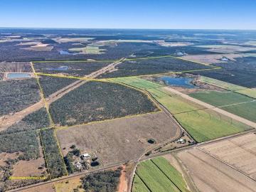 686 Acres on Two Titles in Thriving Isis Horticulture &...