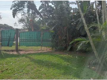 0.5 Bedroom Garden Cottage To Let in Amanzimtoti