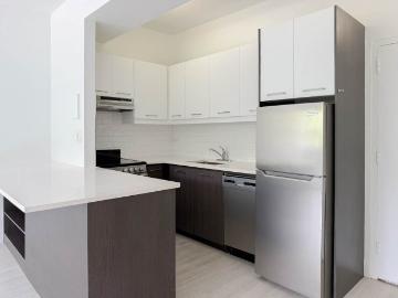 1150 Rue Sherbrooke Est 1 Bedroom Apartment for Rent at...