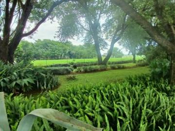 17ha smallholding in vastfontein