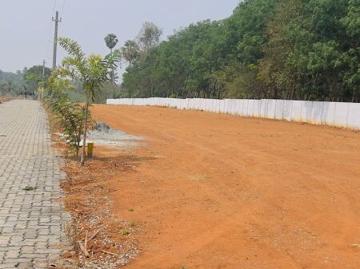1744 Sq.Yd. Plot in Chandranagar Colony Palakkad Listing...