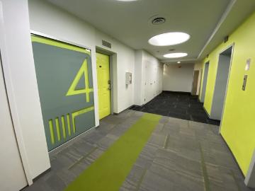 1 Bedroom Condo for Rent at 10024 Jasper Ave Nw,...
