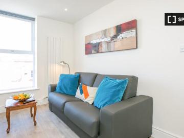 1 bedroom flat to rent in Downtown Dublin