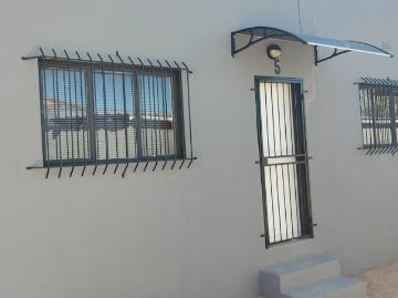 1 Bedroom Studio Apartment To Let in Springbok
