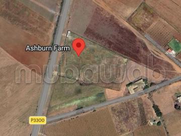 1 hectare titré proche de bouznika sur route p3300