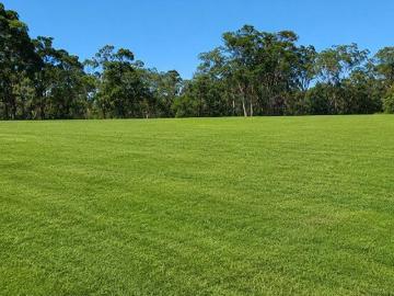 1.8 acres of perfection for your dream home Cnr Neich...