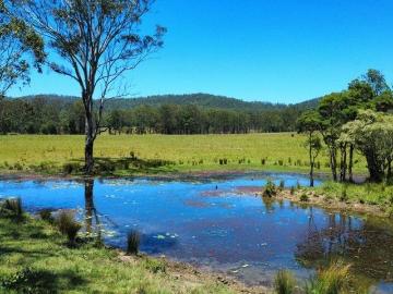 200 VACANT ACRES WITH PERMANENT CREEK