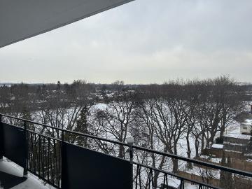 2095 Prospect St 1 Bedroom Apartment for Rent at 2095...