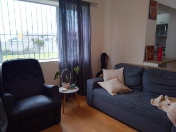 1 Bedroom apartment to rent in Tijgerhof, Milnerton