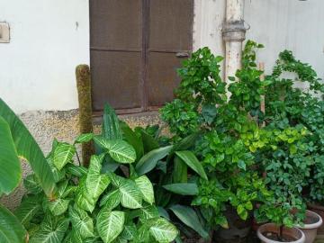 2 BHK Apartment in Hastsal for resale New Delhi. The...