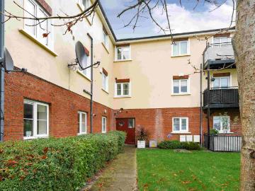 2 room apartment for rent
