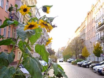 2 Zimmer Wohnung in Stuckaltbaugebäude Stephankiez