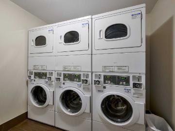 307 Lebreton St South 1 Bedroom Apartment for Rent at...