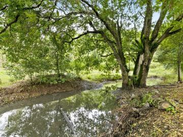 30 Acres of Pure Kenilworth Magic