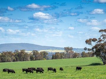 355 acres Mixed Farming Start Up or Add On