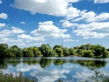 3 Bedroom Park Home For Sale In Vinnetrow Road, Chichester