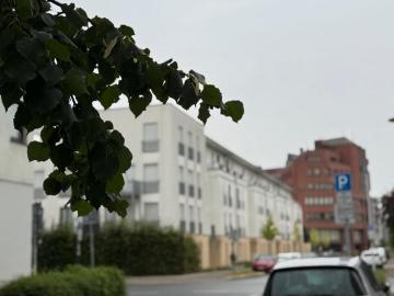 3FH Innenstadtlage