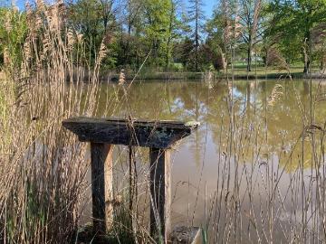 Terrain de loisirs bois Etang à vendre à Mézières en...