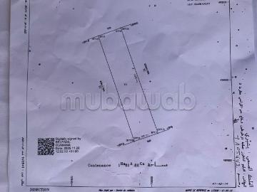 Terrain de titré à vendre À Tizztoutine
