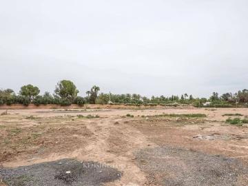 Terrain de 10000 m2 en vente Marrakech, Maroc