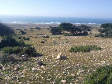 Terrain d'Exception en Bord de Mer au Cap Ghir