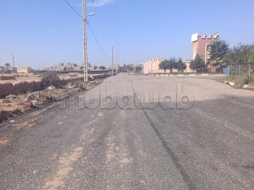 Terrain 10900 m2 projet agricole ou industriel