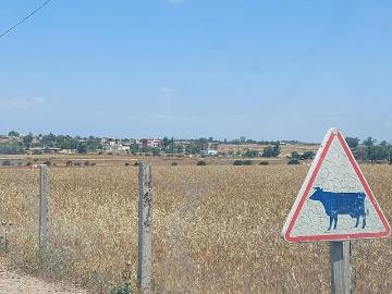 Terrain 11255 m² Bouskoura/Labissa