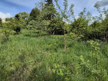 Terrain 320 m²