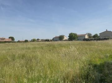 Terrain 7 132 m²