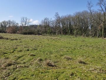 Terrain 8 654 m²