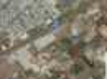 Terrains social
