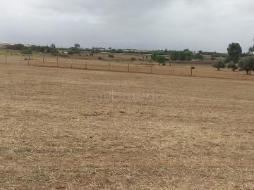 Terre agricole Ait Wahi Tiflet