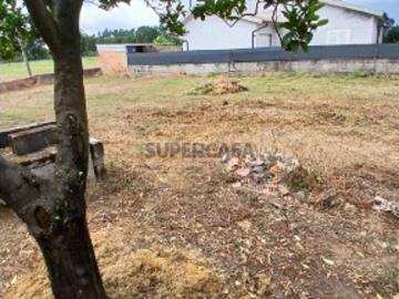 Terreno Oliveira do Bairro