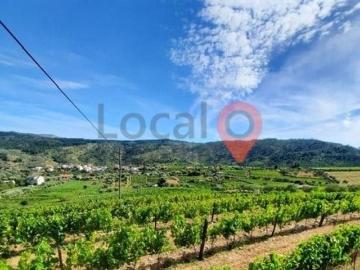 Terreno à venda Sanfins do Douro, Vila Real