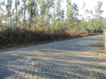 Terreno à venda Barcelos, Braga