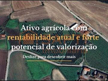 Terreno à venda Gueral, Barcelos, Braga