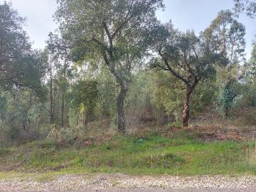 Terreno à venda em Sardoal