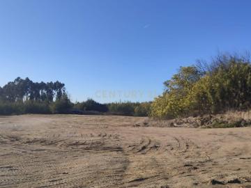 Terreno à venda em Ratoeira, Celorico da Beira