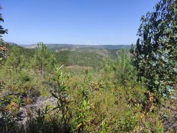 Terreno à venda em Vila Velha de Ródão