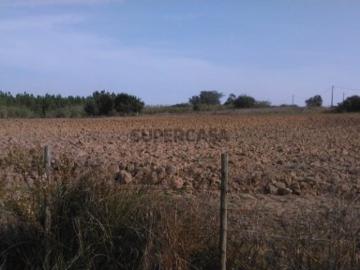 Terreno Agrícola c/ área 12320m2