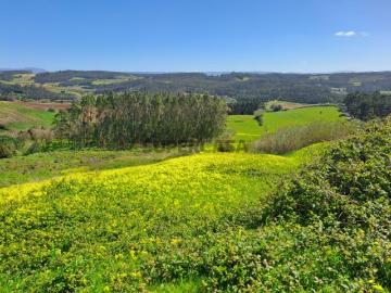 Terreno Agrícola com 26.760 m² no Vimeiro Lourinhã