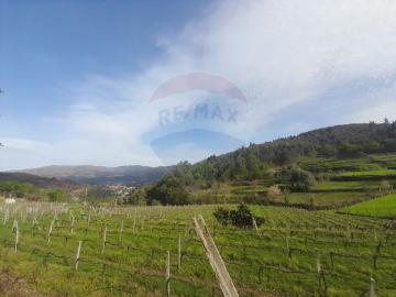 Terreno agrícola com água de regadio