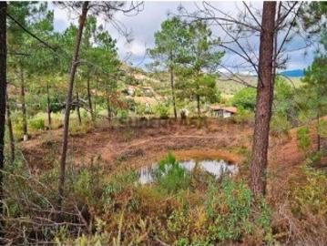 Terreno Agrícola em Mexilhoeira Grande