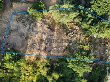 Terreno Agrícola em Castanheira de Pêra e Coentral