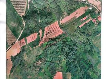 Terreno Agrícola em Carvalhal Benfeito