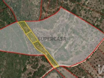 Terreno Agrícola em Chãos
