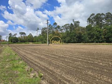 Terreno Agrícola em Lamelas Santo Tirso