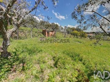Terreno Agrícola em Pedrógão Pequeno