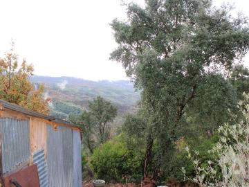 Terreno Agrícola em Sandomil