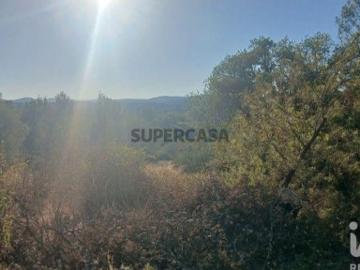 Terreno Agrícola em Sarzedas